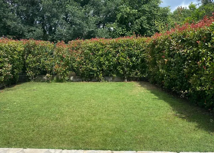 Апартаменты Ammouses